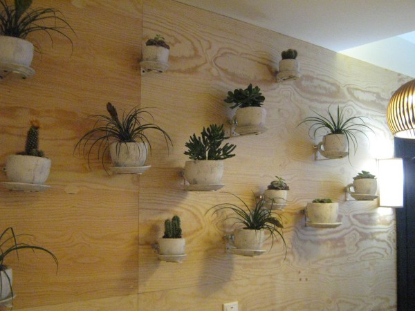Стена, оформленная растениями, в «Здоровом ресторане» © Алёна Груя