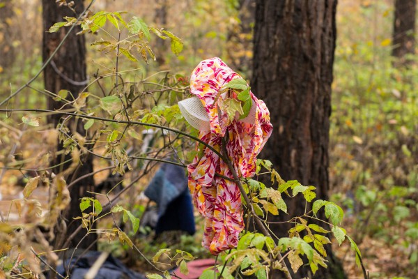 На ветке сушится одежда обитателей парка © Алёна Груя