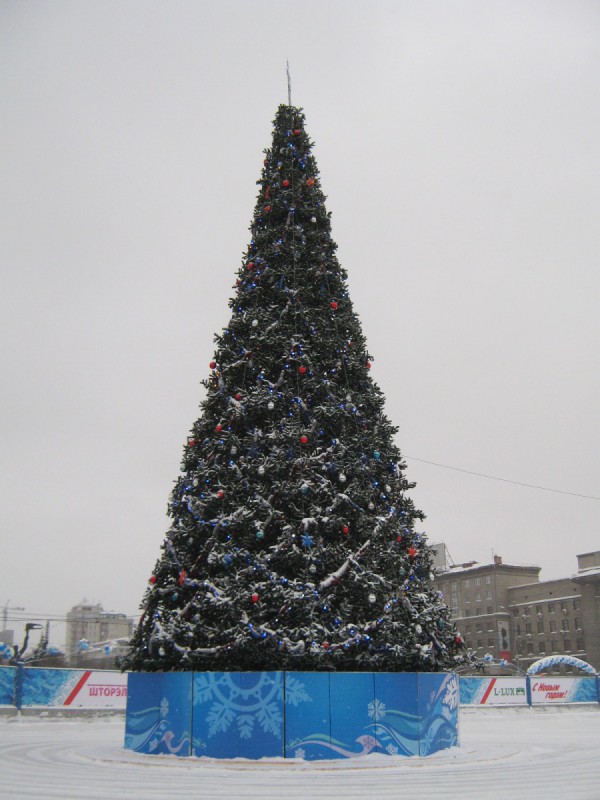 Главная ёлка Новосибирска на площади Ленина