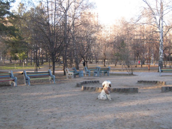 Детская площадка в Нарымском сквере © Алёна Груя