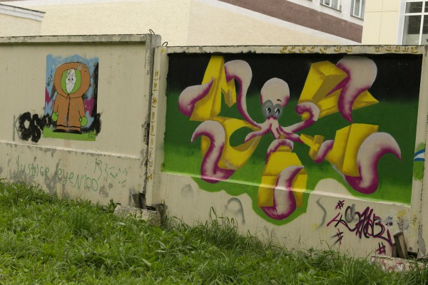 Стена в «Первомайском» парке, расписанная граффити © Алёна Груя