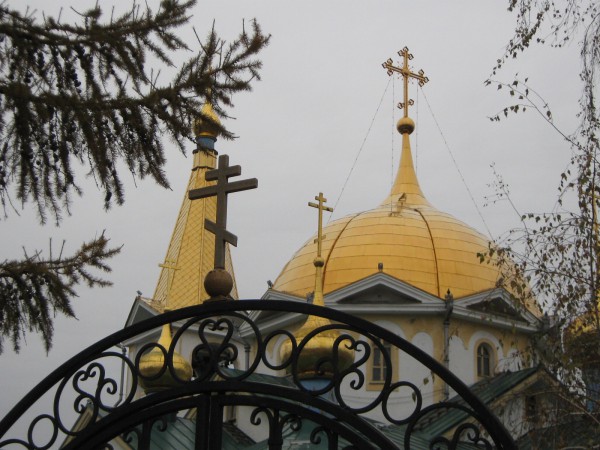Купола Вознесенского кафедрального собора © Алёна Груя