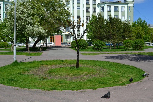 Скульптура в виде дерева в центре парка  © Алена Груя
