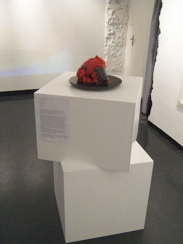 Экспонат «Теплота рук» на выставке наукоемких арт-объектов © Алёна Груя