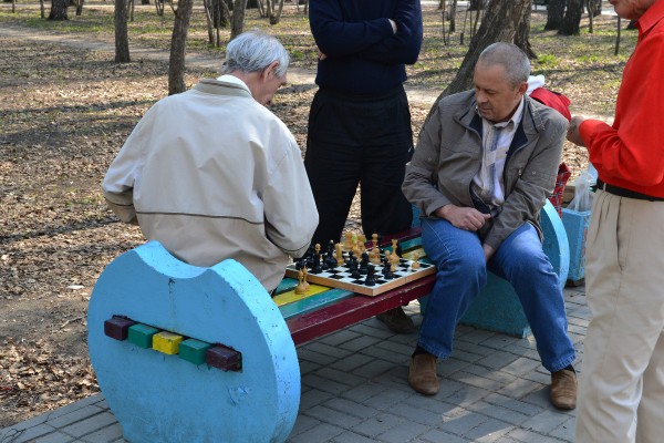 Мужчины играют в шахматы на лавочке в парке © Алёна Груя