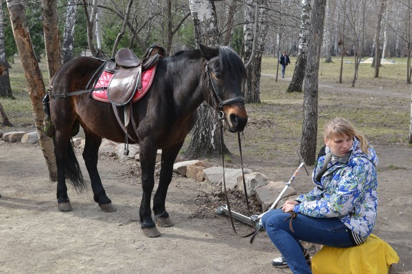 Лошадь в парке культуры и отдыха «Березовая роща» © Алёна Груя
