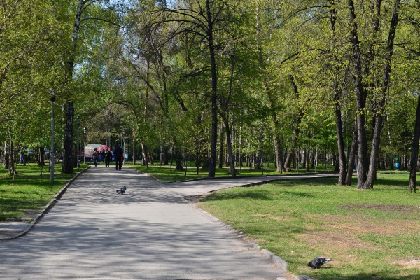 Новосибирский Центральный парк © Алёна Груя