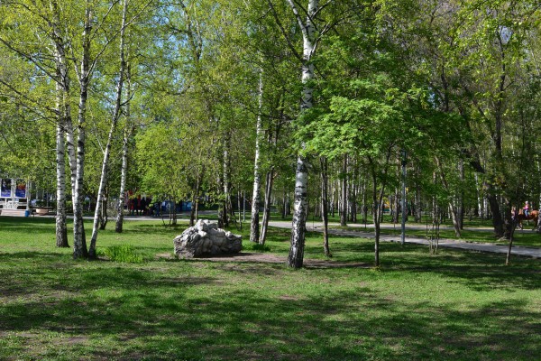 Часть территории парка с зелеными насаждениями © Алёна Груя