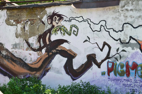 Граффити, изображающее обезьяну © Алёна Груя