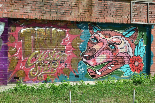 Граффити, изображенное во дворе дома 74 по Красному проспекту © Алёна Груя