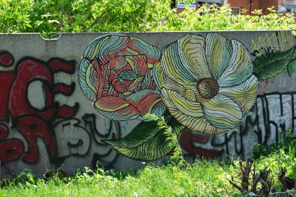 Граффити - цветы © Алёна Груя