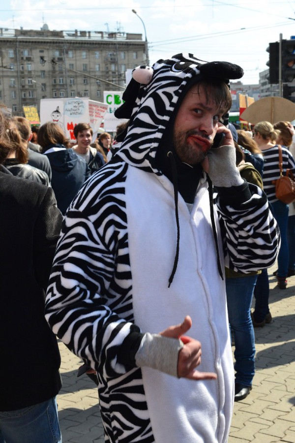 Монстрант в костюме зебры на площади Калинина © Алёна Груя
