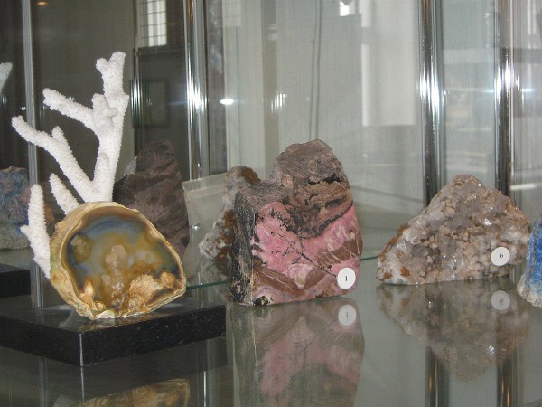 Камни и минералы в Музее истории развития образования Новосибирска и области © Алёна Груя