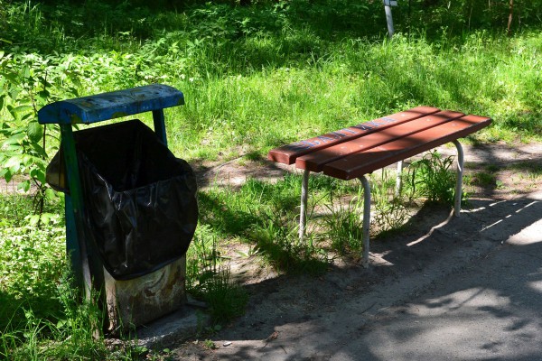 Урна и скамейка в Заельцовском парке © Алёна Груя
