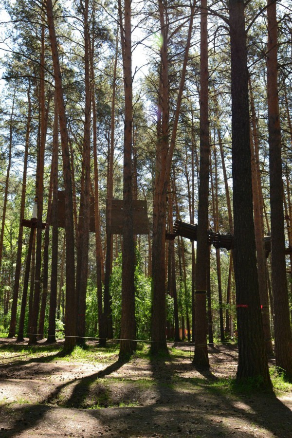 Веревочный парк «Слабо?!» на территории ПКиО «Заельцовский» © Алёна Груя