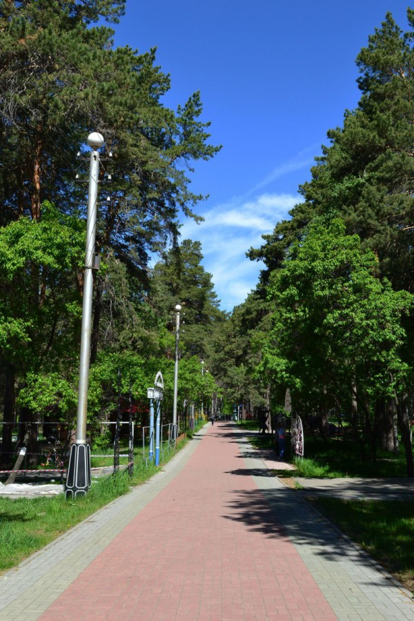 Аллея Заельцовского парка возле базы «Локомотив» © Алёна Груя
