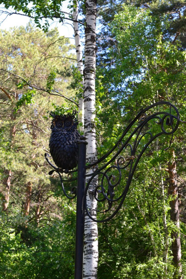 Сова – украшение Заельцовского парка © Алёна Груя