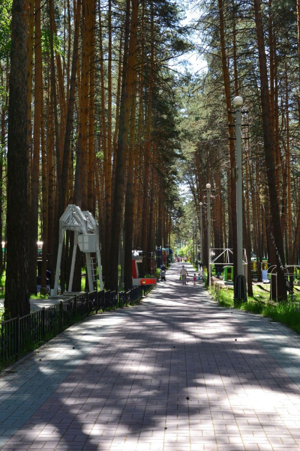Прогулочная аллея в Заельцовском парке © Алёна Груя