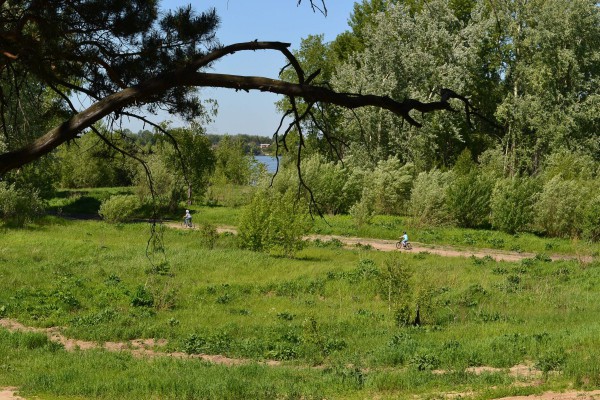 Вид на реку и поле со стороны Заельцовского парка © Алёна Груя
