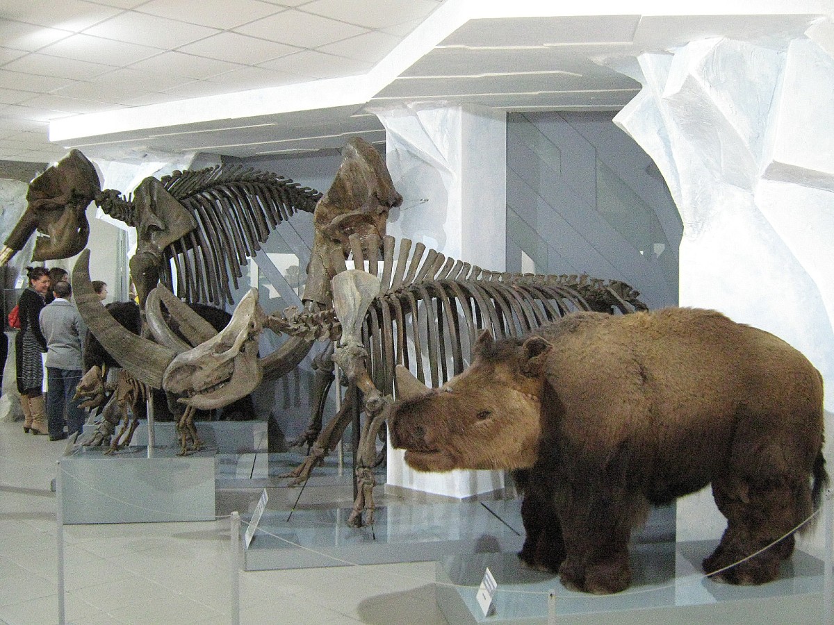 Музей природы Новосибирской области