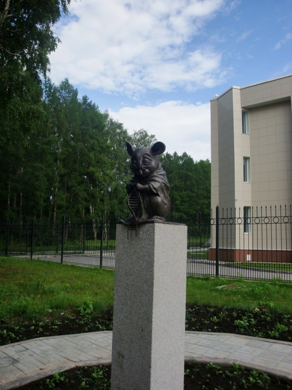 Памятник лабораторной мыши за институтом цитологии и генетики © Елена Пак