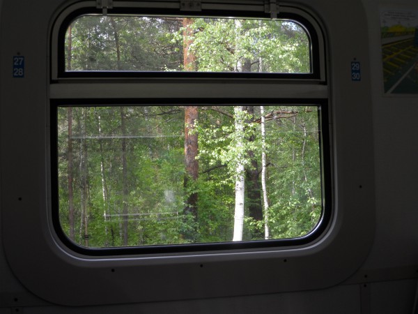Вид из окна © Елена Саблина