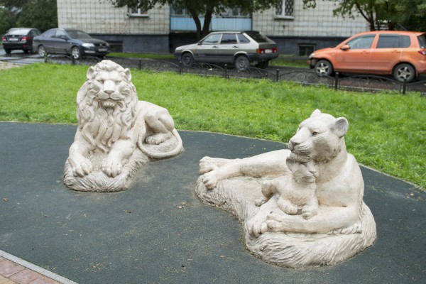 Львиное семейство © Алёна Груя