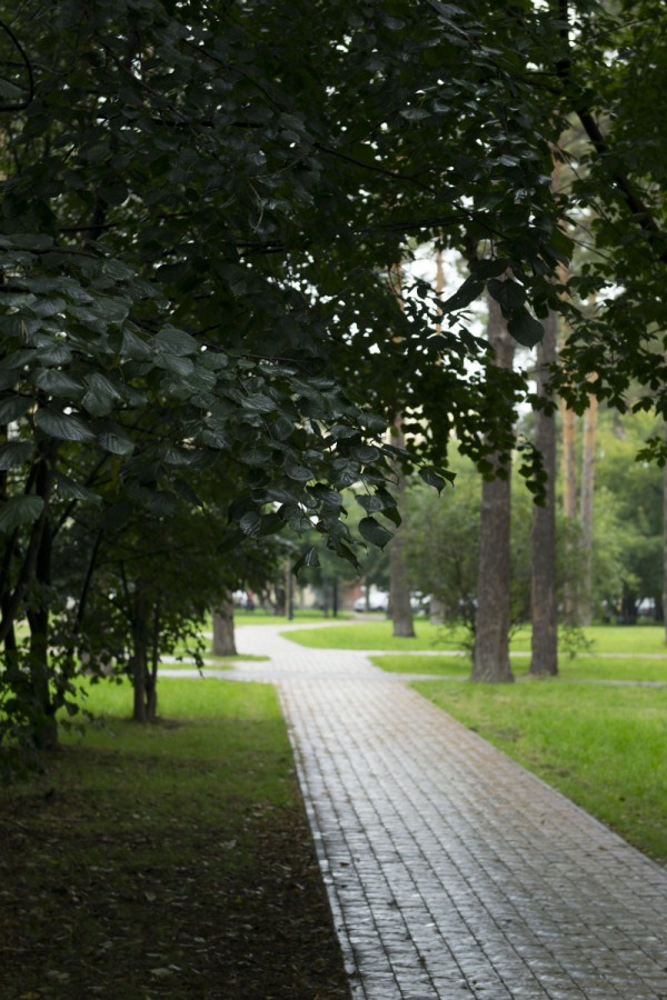 Аллейка Эдемского сада © Алёна Груя