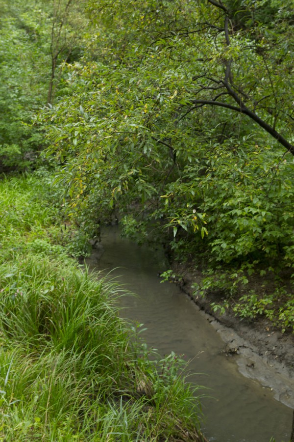Красивый ручей в Эдемском саде © Алёна Груя
