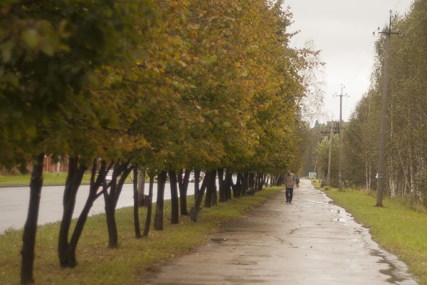 Аллея вдоль проспекта Академика Сандахчиева © Полина Гостева