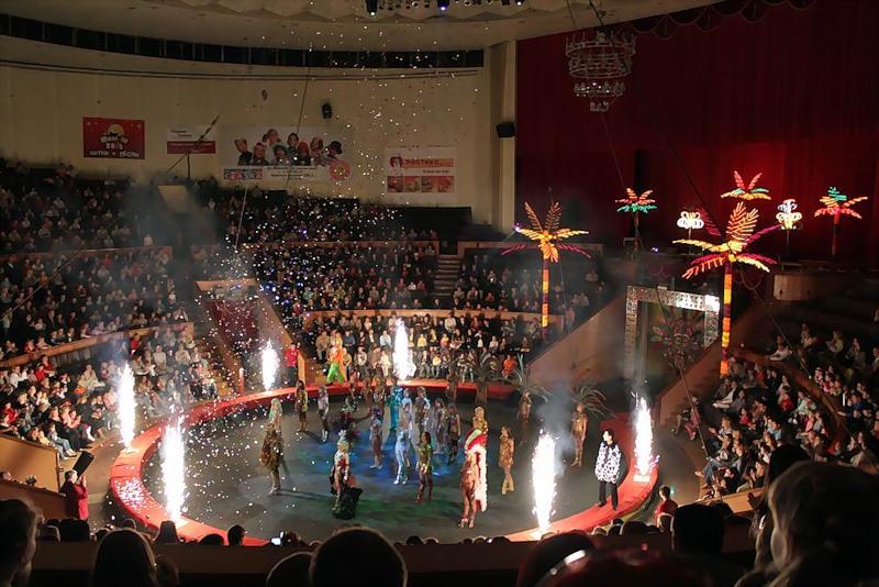 Цирк Новосибирск Фото