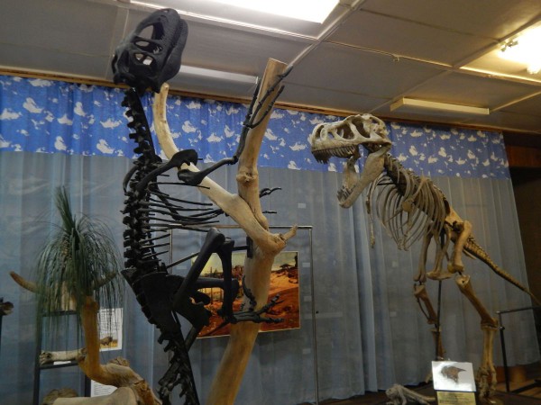 Скелеты динозавров © Александр Матвеев