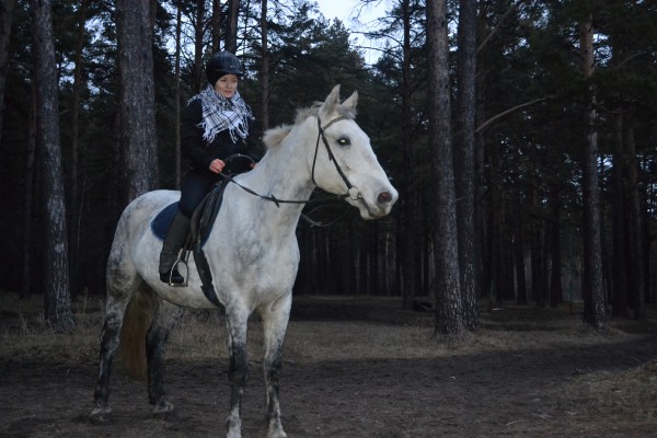 Я на коне © Наталья Поморцева