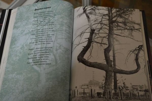 Стихи из книги «Эта горкая полынь Чернобыль» © Наталья Ветрова