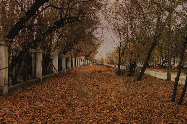 Осенний Новосибирск на фотографиях